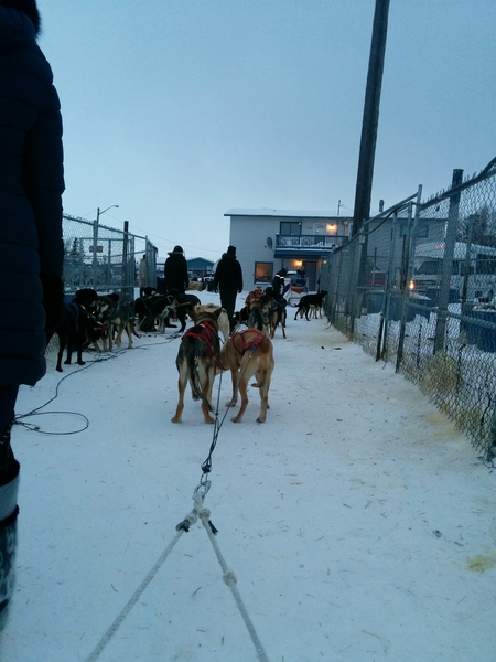 IMG_20170315_080224_medium