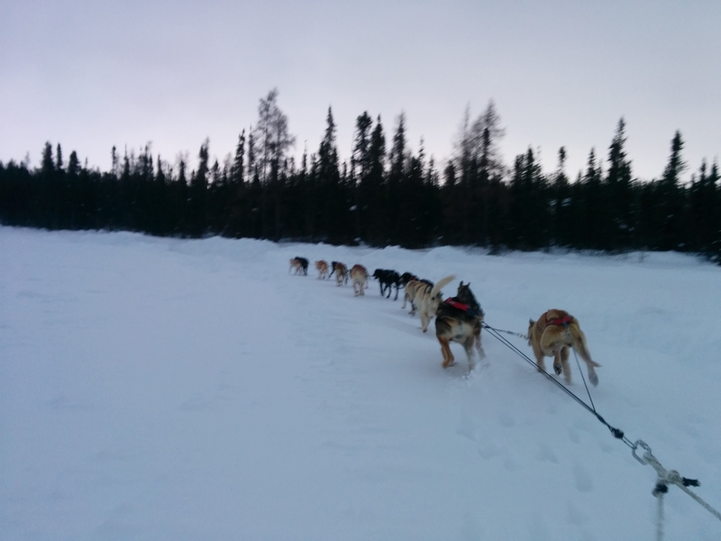 IMG_20170315_082024_medium