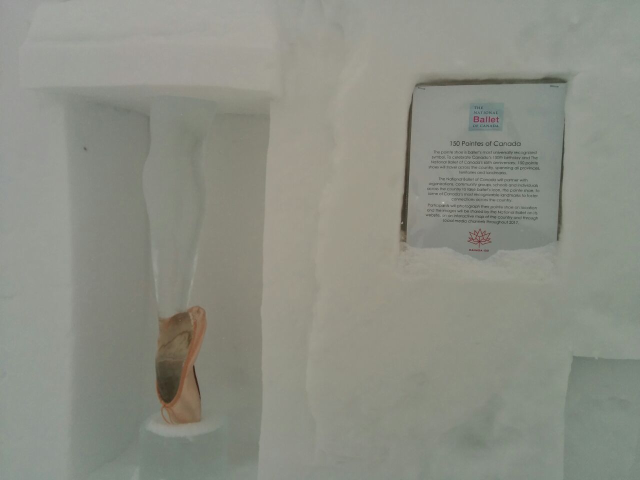 IMG_20170317_125040_1280x960