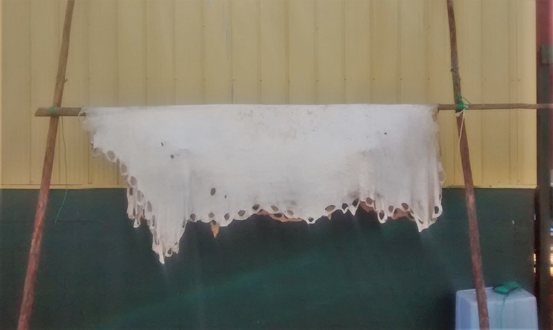 IMG_20170519_140035451