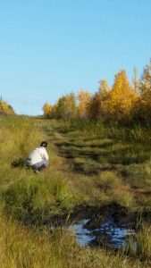 20170917_154348_resized