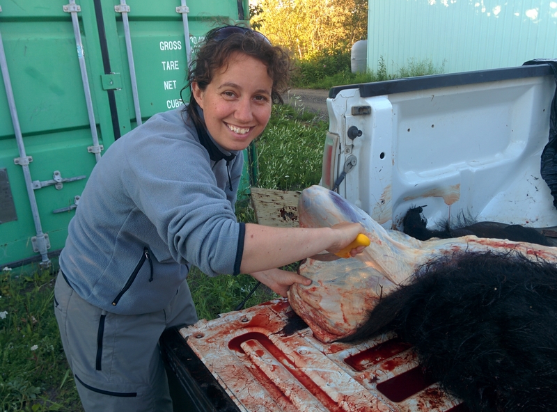 IMG_20170717_223213_medium