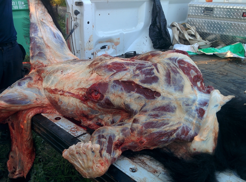 IMG_20170717_225618_medium