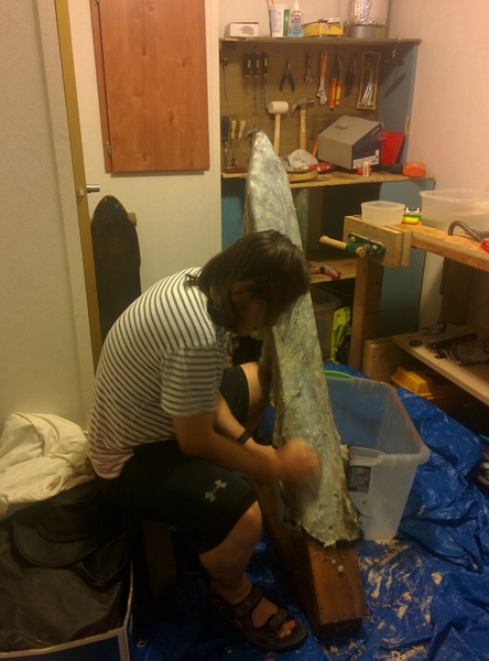 IMG_20170808_152018_medium