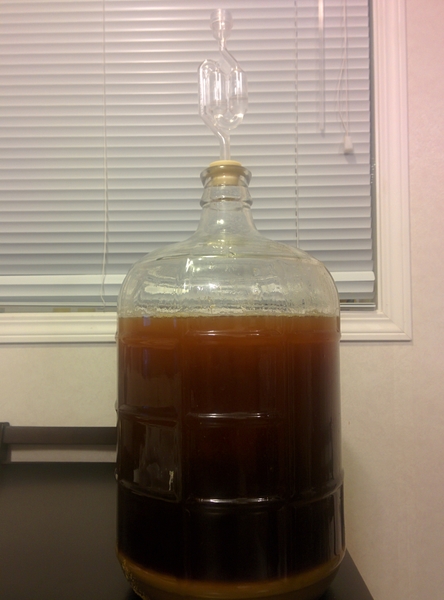beer_ferment_medium