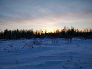 27398767_10215532542446640_2131599062_o