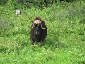 37611447_10103730691576107_7763527126984163328_n