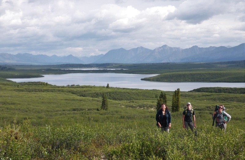 38195866_10103743162269737_8515000181622571008_n