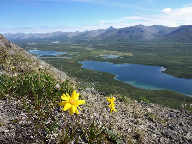 38209658_10103743177389437_6219099579317485568_n